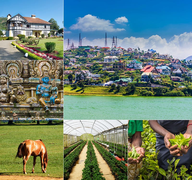 Ut fugiat suscipit a gallery image